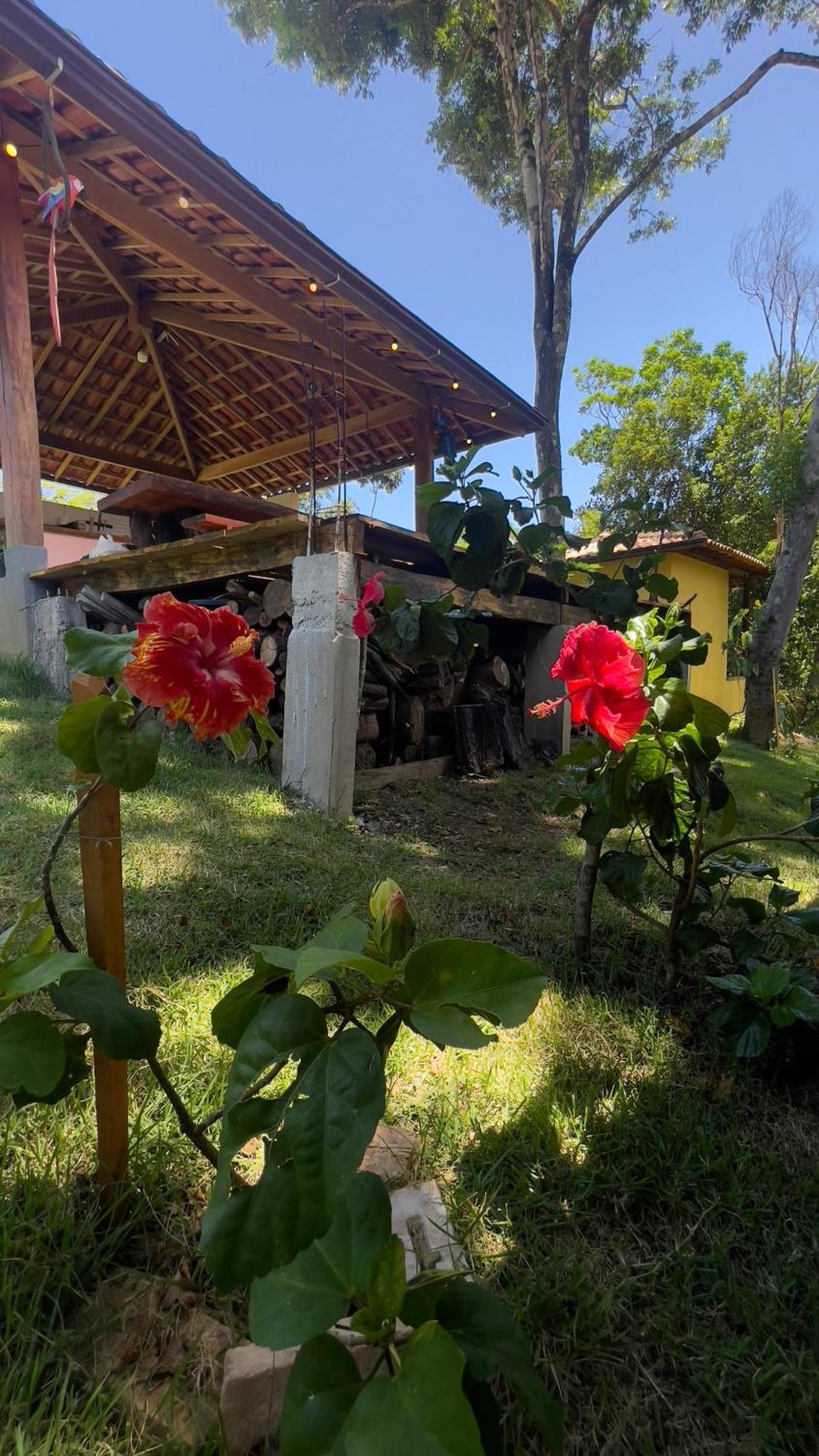 Jeribucacu Country house Itacare