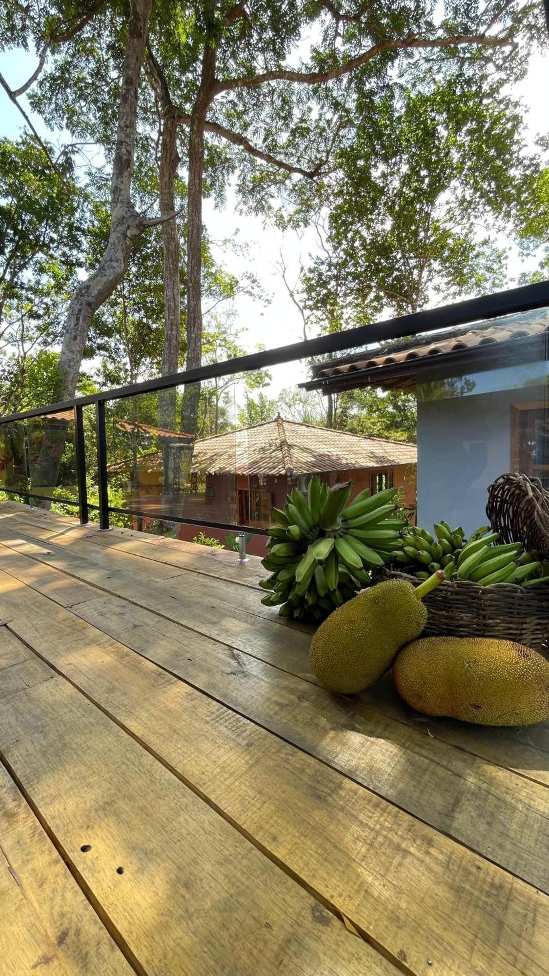 Jeribucacu Country house Itacare
