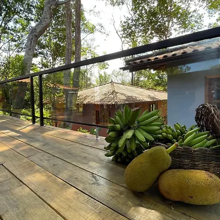 Itacare Jeribucacu Chales Exterior photo